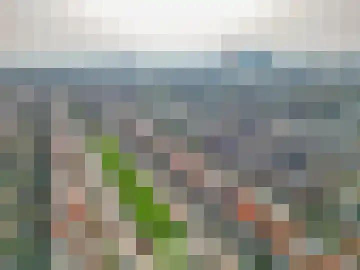 Julianaweg 171 Utrecht thumbnail 41