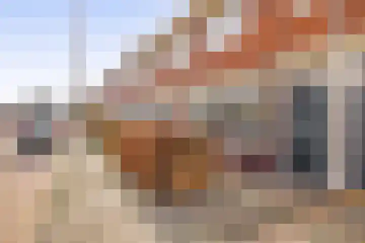 Julianaweg 171 Utrecht thumbnail 6