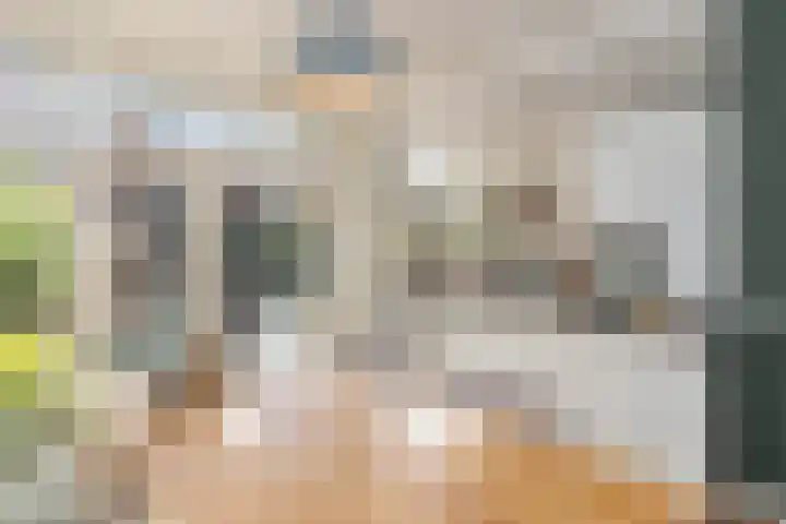 Julianaweg 176 Utrecht thumbnail 16