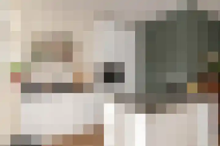 Julianaweg 176 Utrecht thumbnail 18