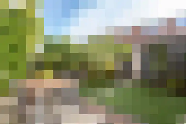 Julianaweg 176 Utrecht thumbnail 20