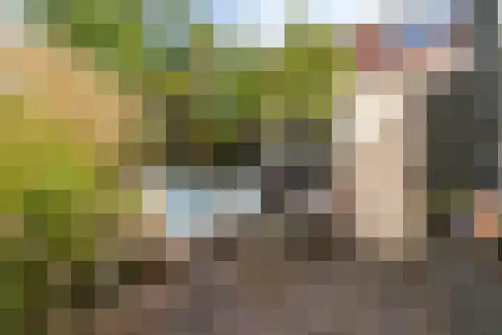Julianaweg 176 Utrecht thumbnail 21