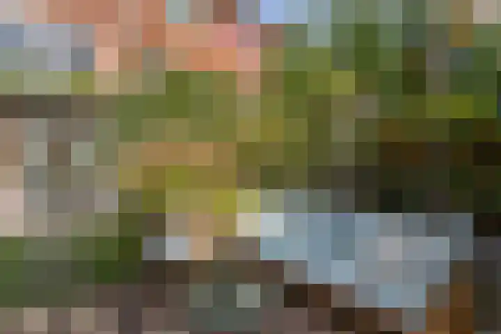 Julianaweg 176 Utrecht thumbnail 22
