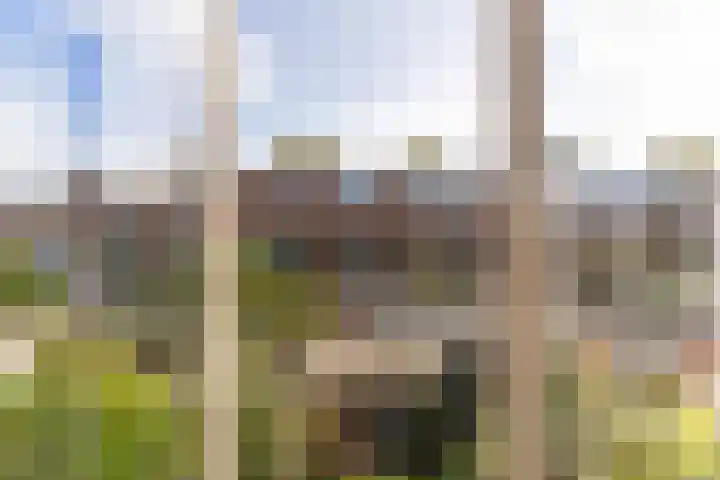 Julianaweg 176 Utrecht thumbnail 26