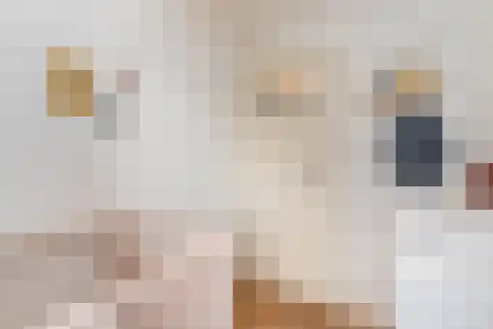 Julianaweg 176 Utrecht thumbnail 33