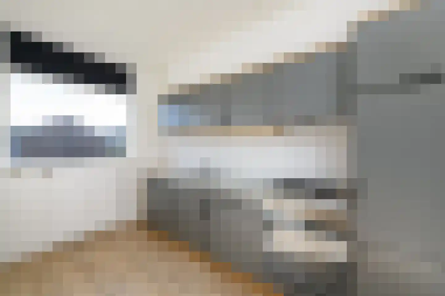 Julianaweg 18 Wolvega thumbnail 11