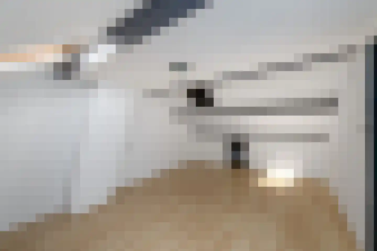 Julianaweg 18 Wolvega thumbnail 19
