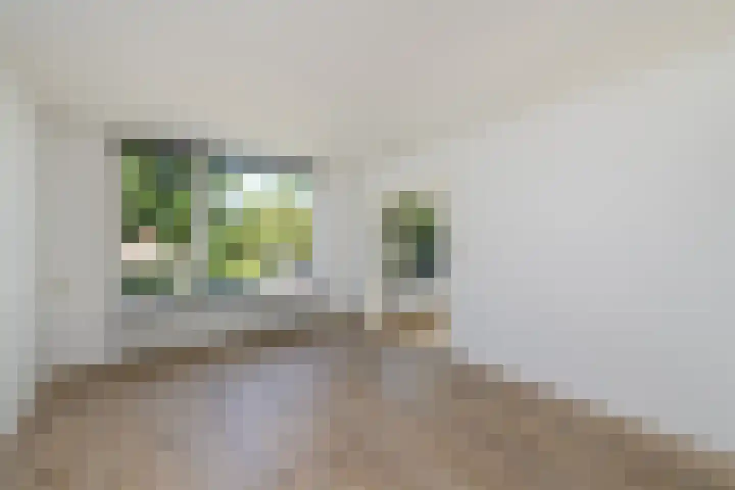Julianaweg 18 Wolvega thumbnail 7