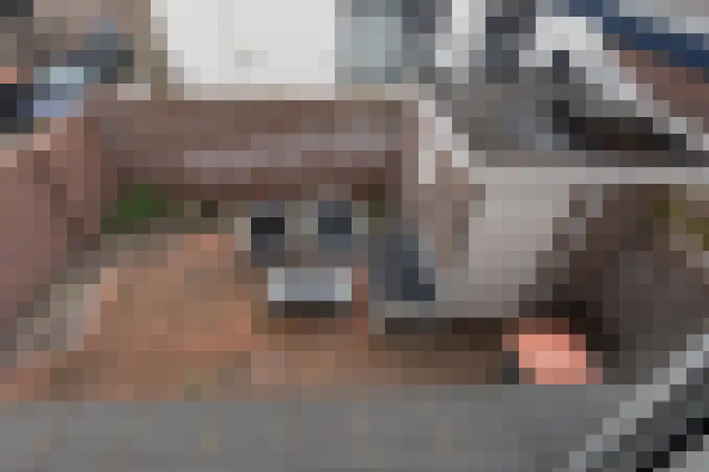 Julianaweg 2 A Egmond aan den Hoef thumbnail 23