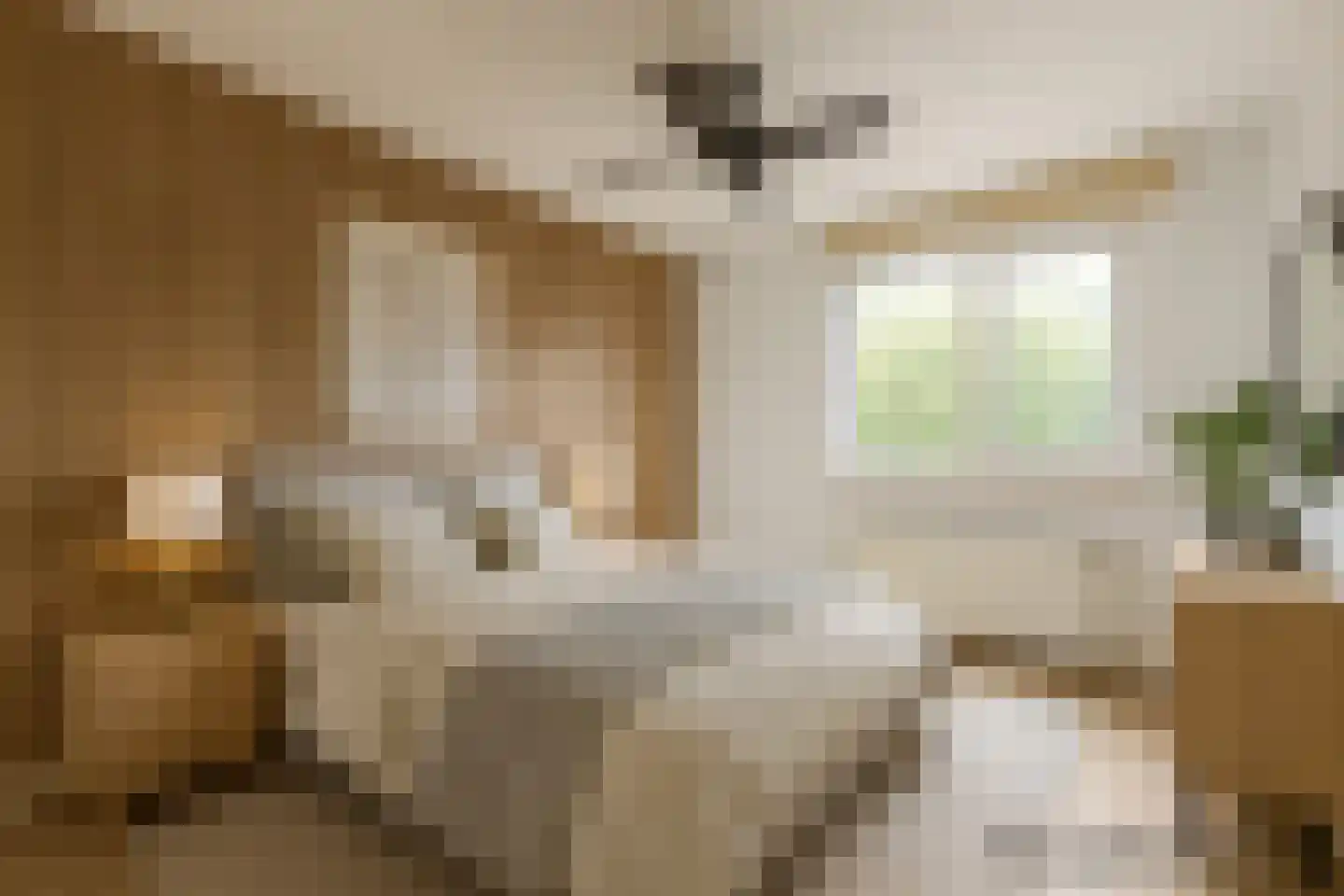 Julianaweg 2 A Egmond aan den Hoef thumbnail 31