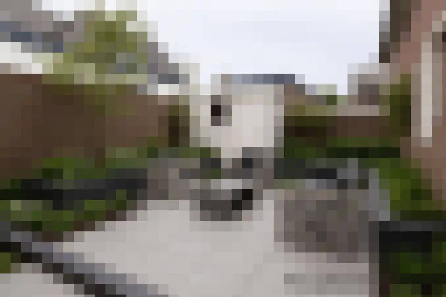 Julianaweg 2 A Egmond aan den Hoef thumbnail 5