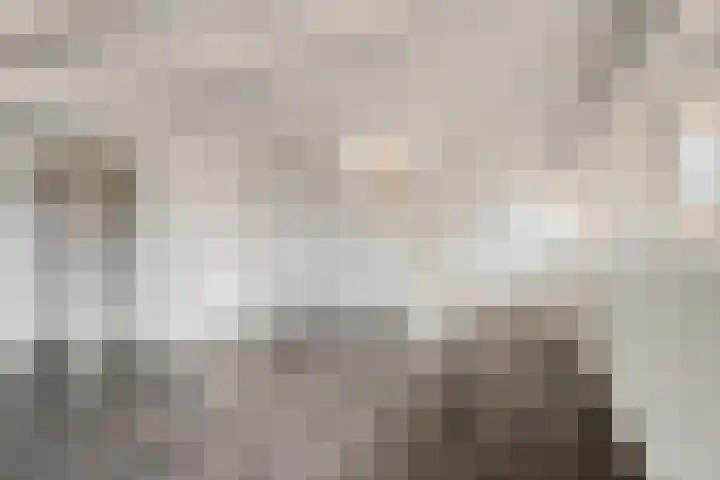 Julianaweg 204 BS Utrecht thumbnail 5