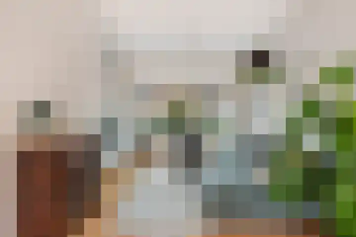 Julianaweg 208 Utrecht thumbnail 13