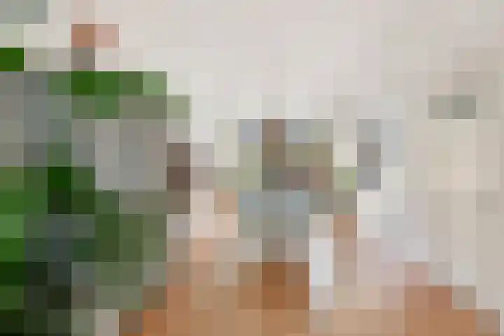 Julianaweg 208 Utrecht thumbnail 19