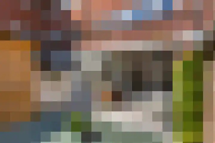 Julianaweg 208 Utrecht thumbnail 35