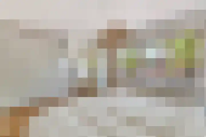 Julianaweg 208 Utrecht thumbnail 48