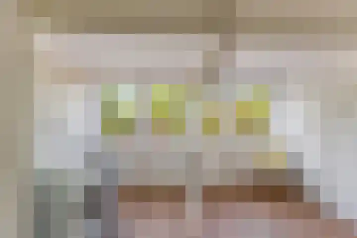 Julianaweg 208 Utrecht thumbnail 50
