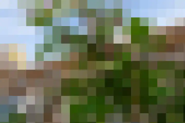 Julianaweg 208 Utrecht thumbnail 51
