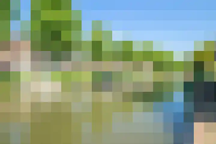 Julianaweg 208 Utrecht thumbnail 55