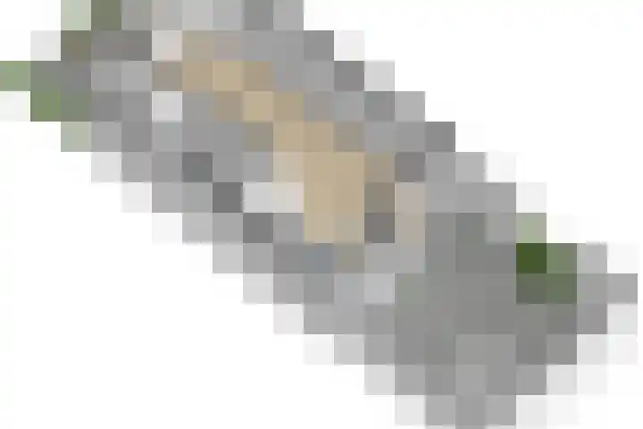 Julianaweg 208 Utrecht thumbnail 63