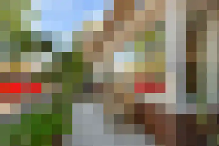 Julianaweg 208 Utrecht thumbnail 7