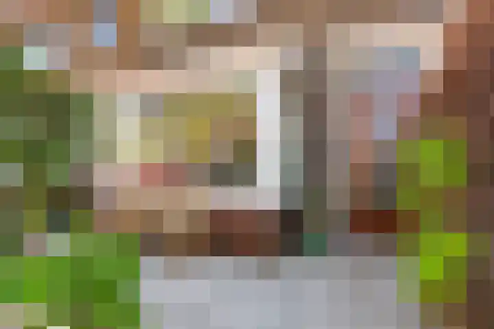 Julianaweg 208 Utrecht thumbnail 8