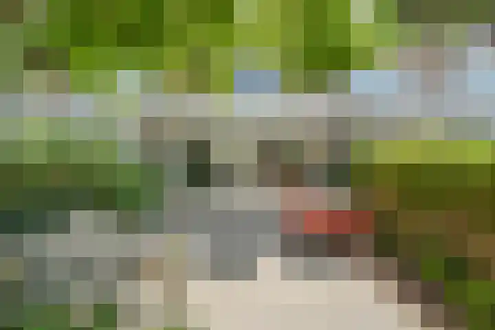 Julianaweg 209 Utrecht thumbnail 14