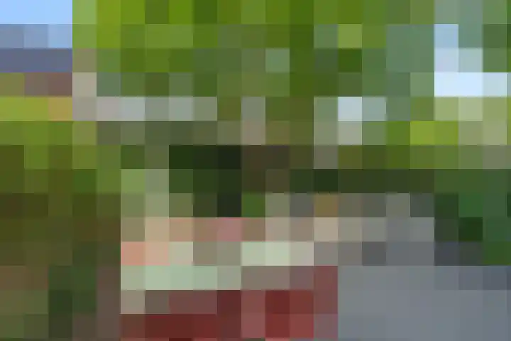 Julianaweg 209 Utrecht thumbnail 15