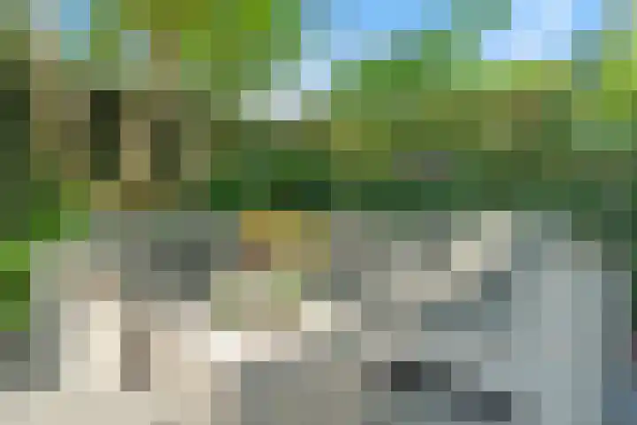 Julianaweg 209 Utrecht thumbnail 16