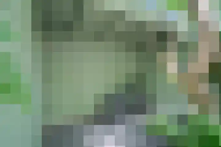 Julianaweg 209 Utrecht thumbnail 17