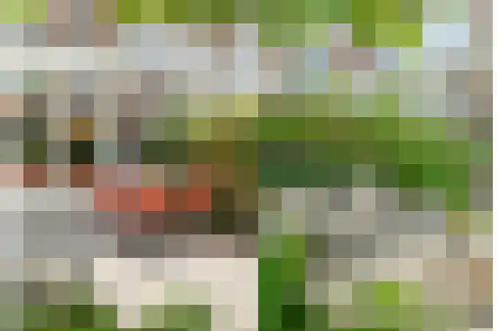 Julianaweg 209 Utrecht thumbnail 18