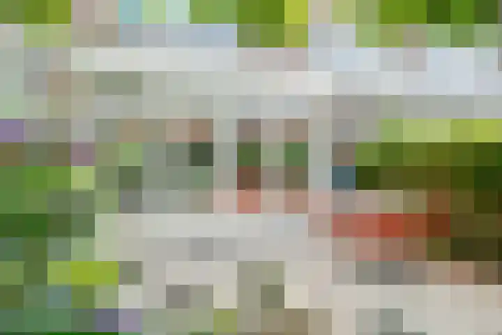 Julianaweg 209 Utrecht thumbnail 19
