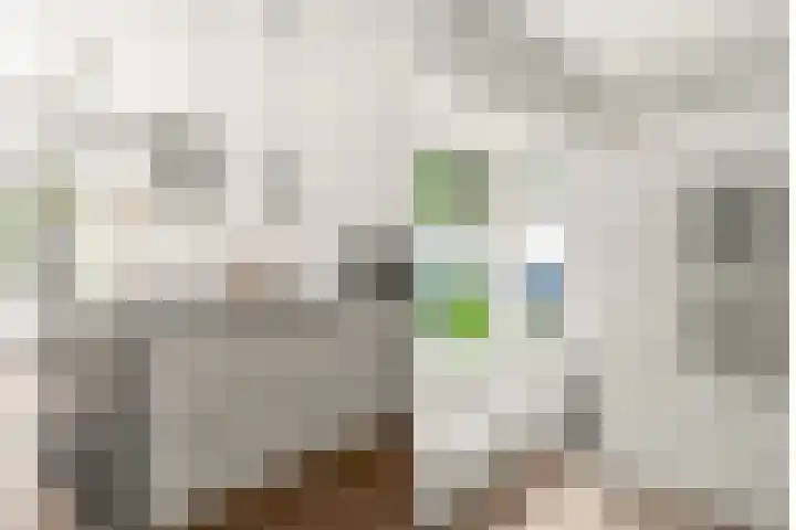 Julianaweg 209 Utrecht thumbnail 22