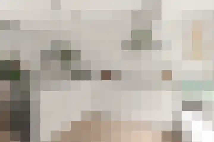 Julianaweg 209 Utrecht thumbnail 23