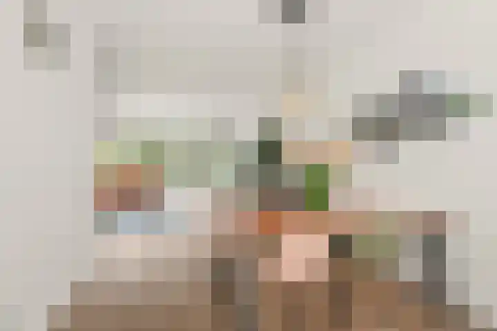 Julianaweg 209 Utrecht thumbnail 26