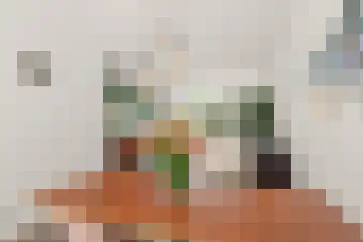 Julianaweg 209 Utrecht thumbnail 28