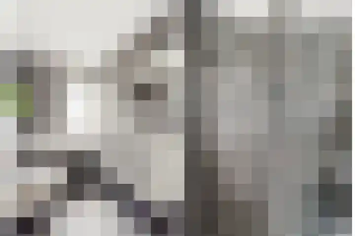 Julianaweg 209 Utrecht thumbnail 38