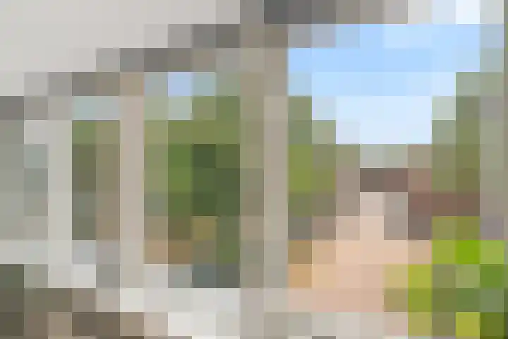 Julianaweg 209 Utrecht thumbnail 41