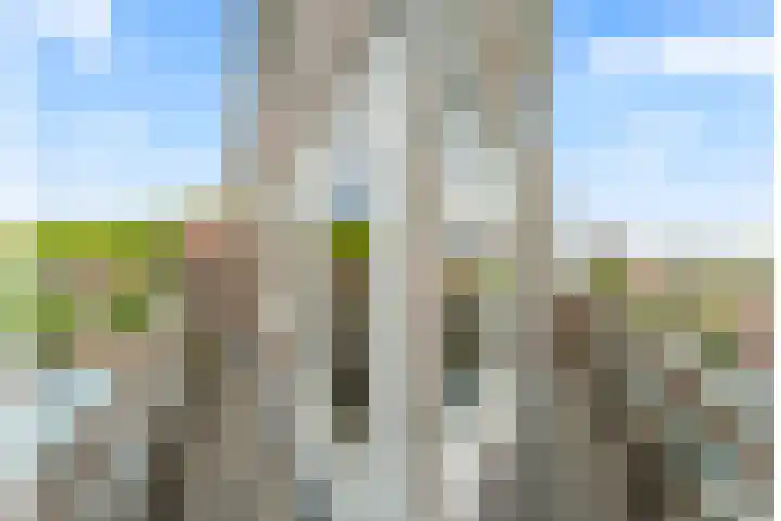 Julianaweg 209 Utrecht thumbnail 45