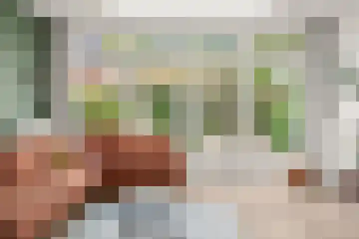 Julianaweg 209 Utrecht thumbnail 8