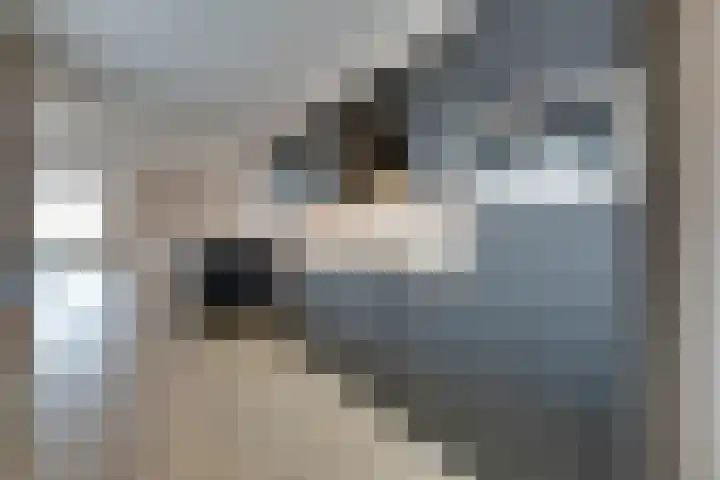 Julianaweg 22 Volendam thumbnail 19