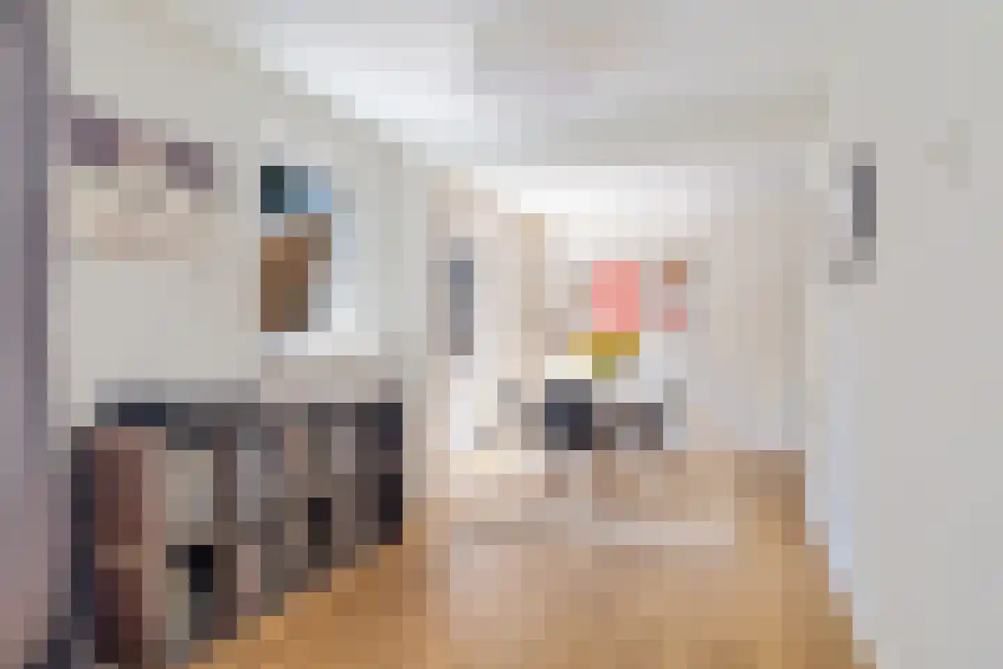 Julianaweg 22 Zandvoort thumbnail 17