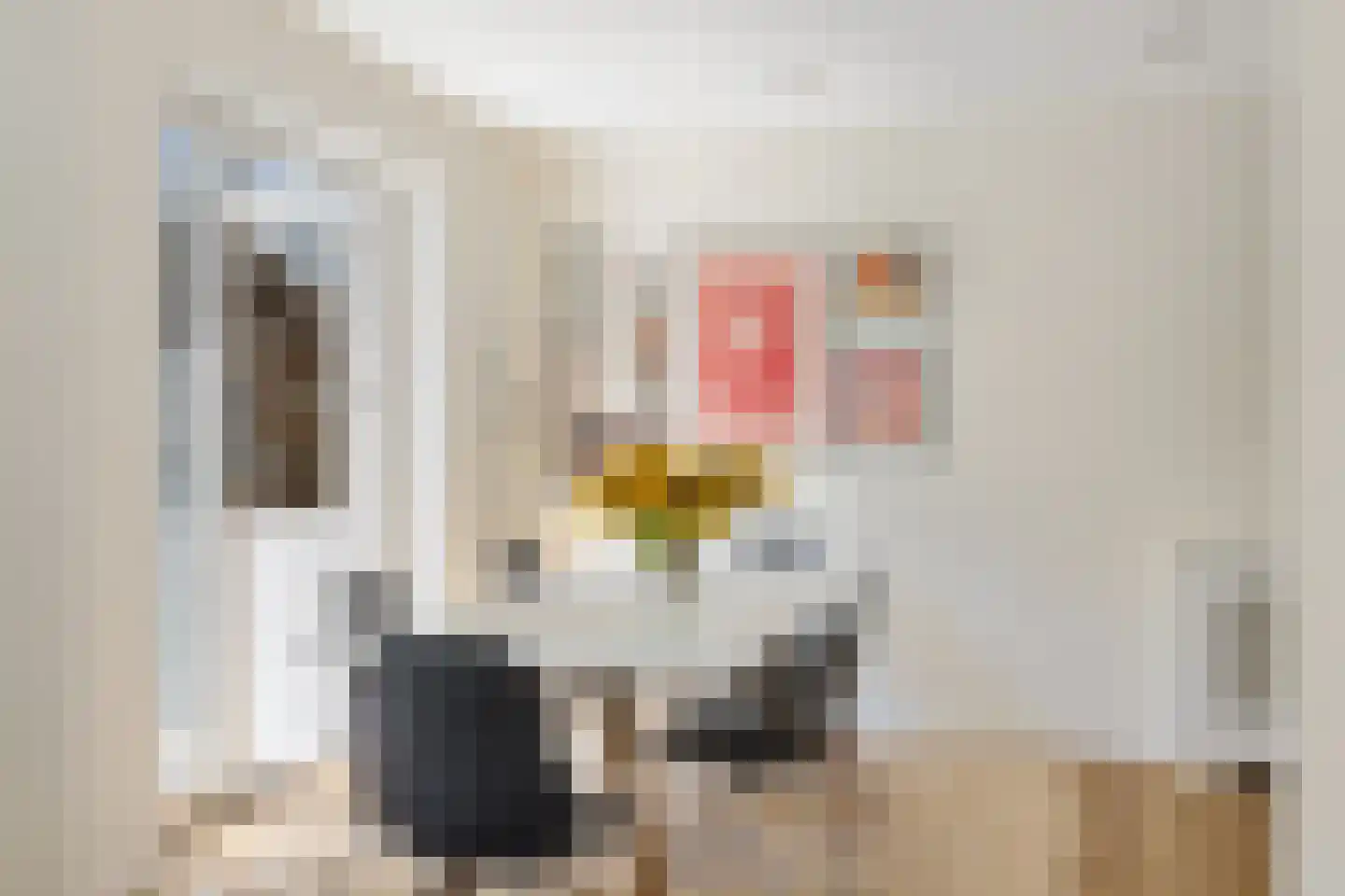 Julianaweg 22 Zandvoort thumbnail 18