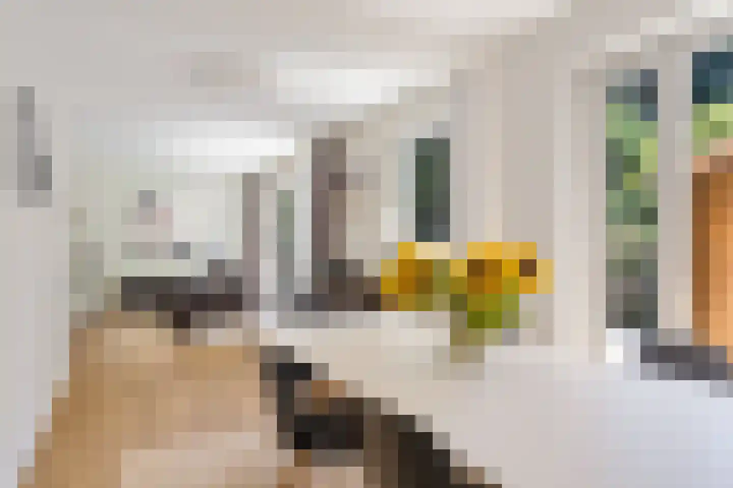 Julianaweg 22 Zandvoort thumbnail 19