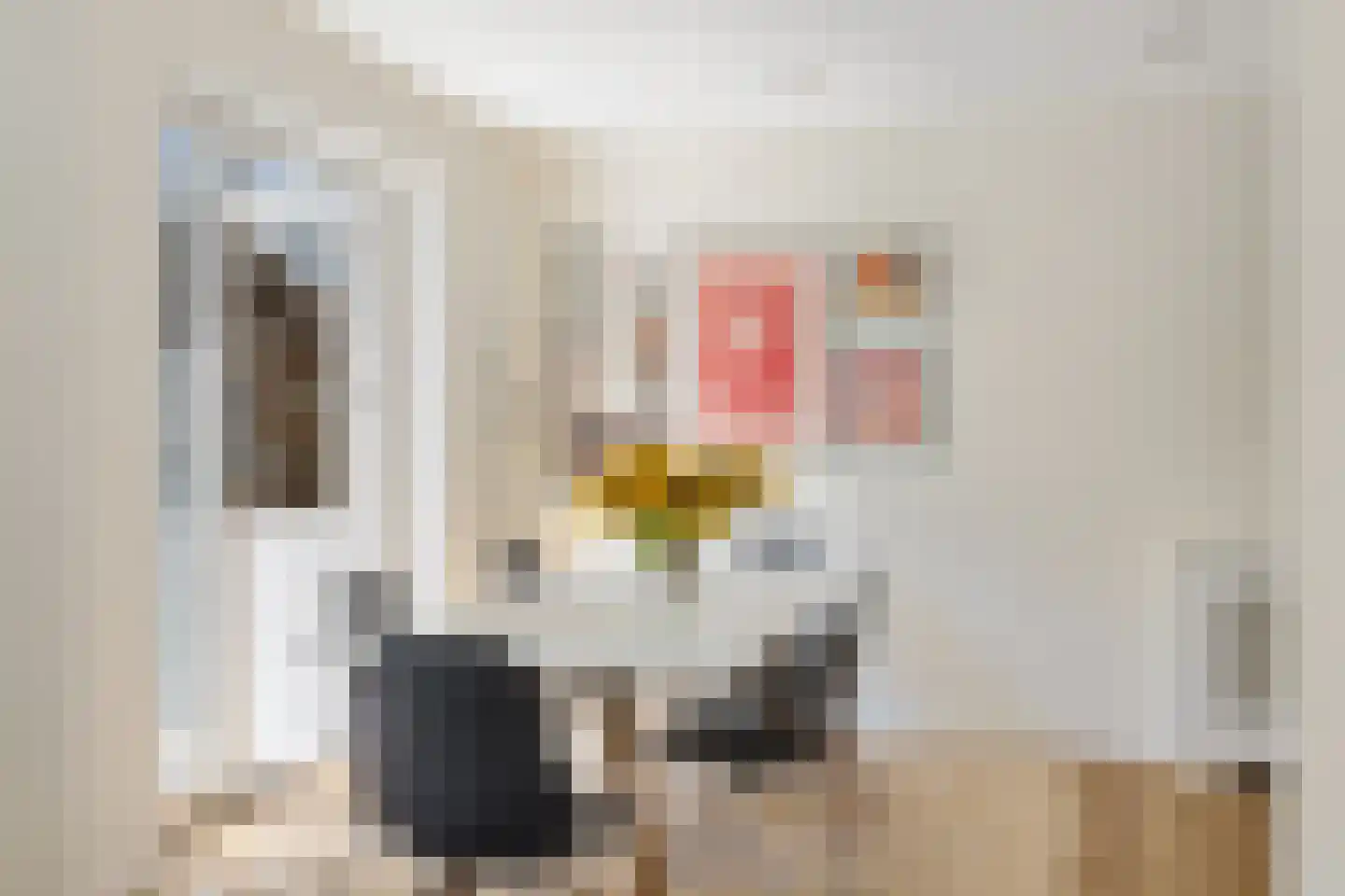 Julianaweg 22 Zandvoort thumbnail 20