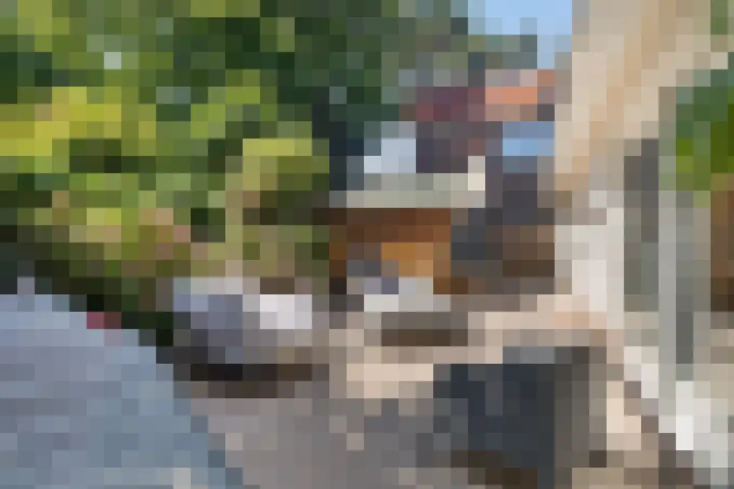 Julianaweg 22 Zandvoort thumbnail 26