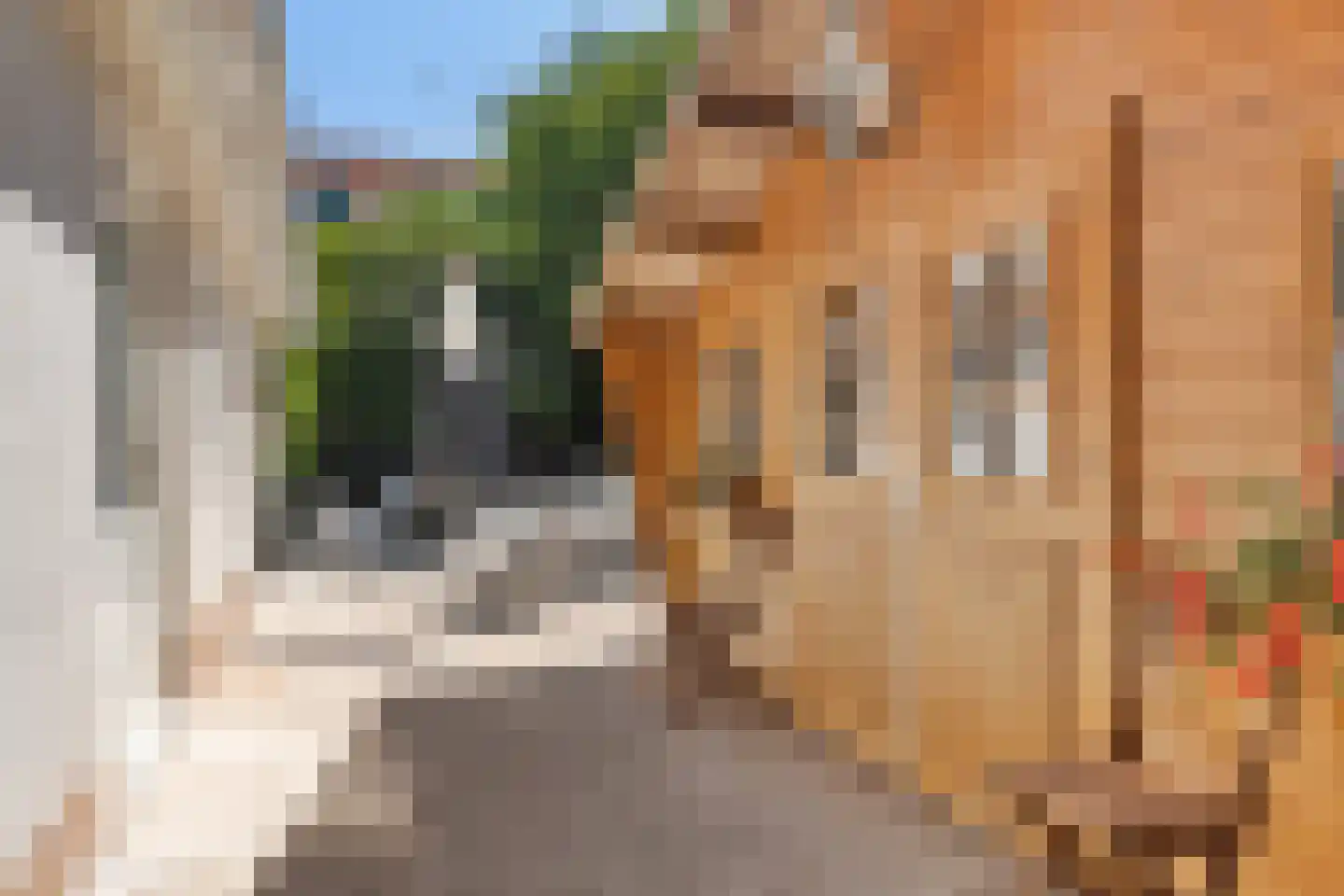 Julianaweg 22 Zandvoort thumbnail 29