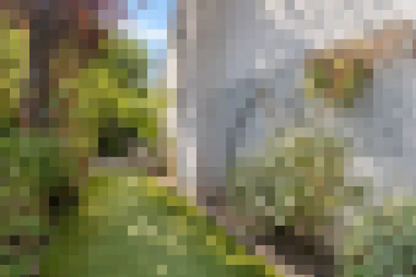 Julianaweg 22 Zandvoort thumbnail 30