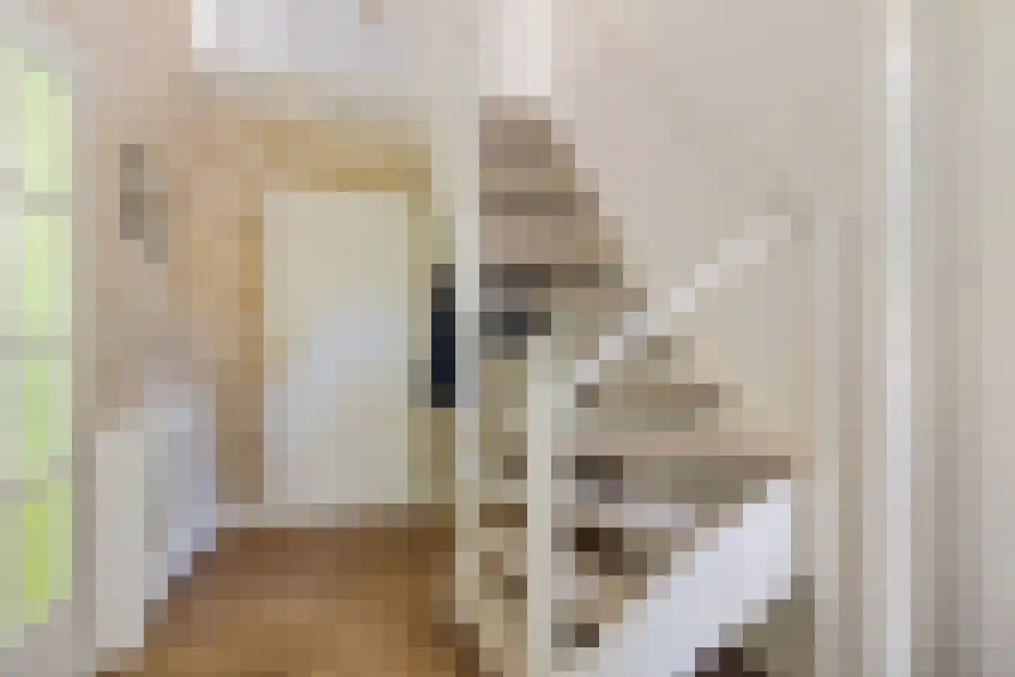 Julianaweg 22 Zandvoort thumbnail 32