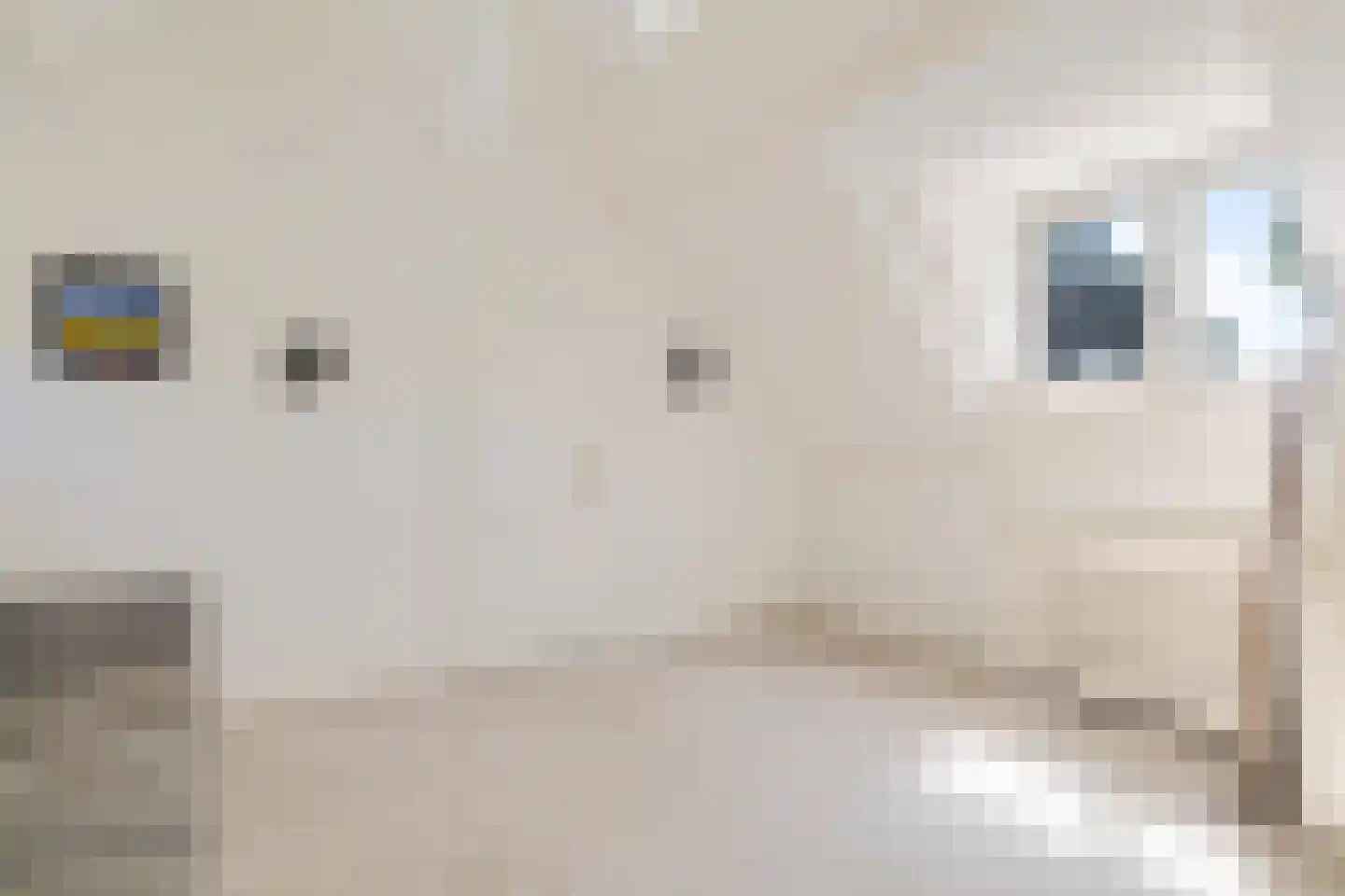 Julianaweg 22 Zandvoort thumbnail 36